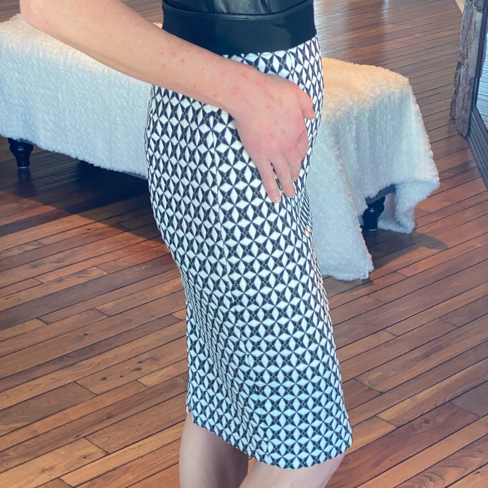 Banana Republic Skirt